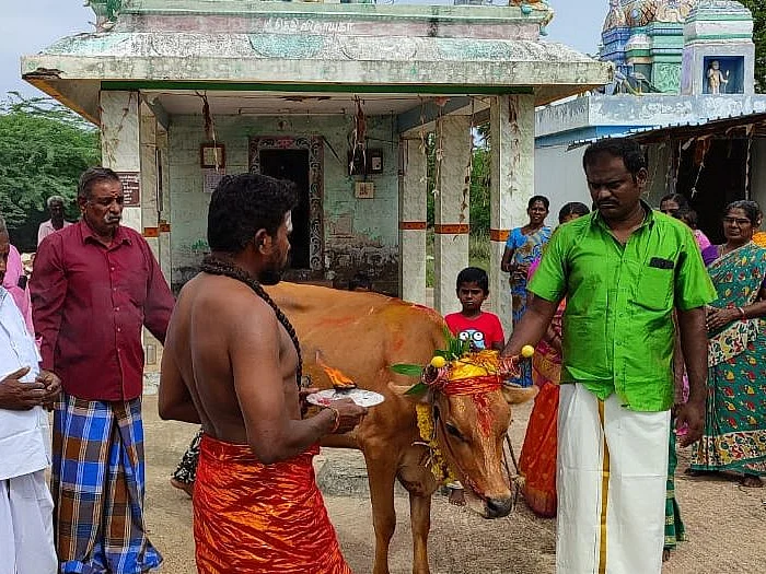 பசுவுக்கு கிராம மக்களுடன் சேர்ந்து வளைகாப்பு; விவசாயி சொல்லும் நெகிழ்ச்சி காரணம்!
