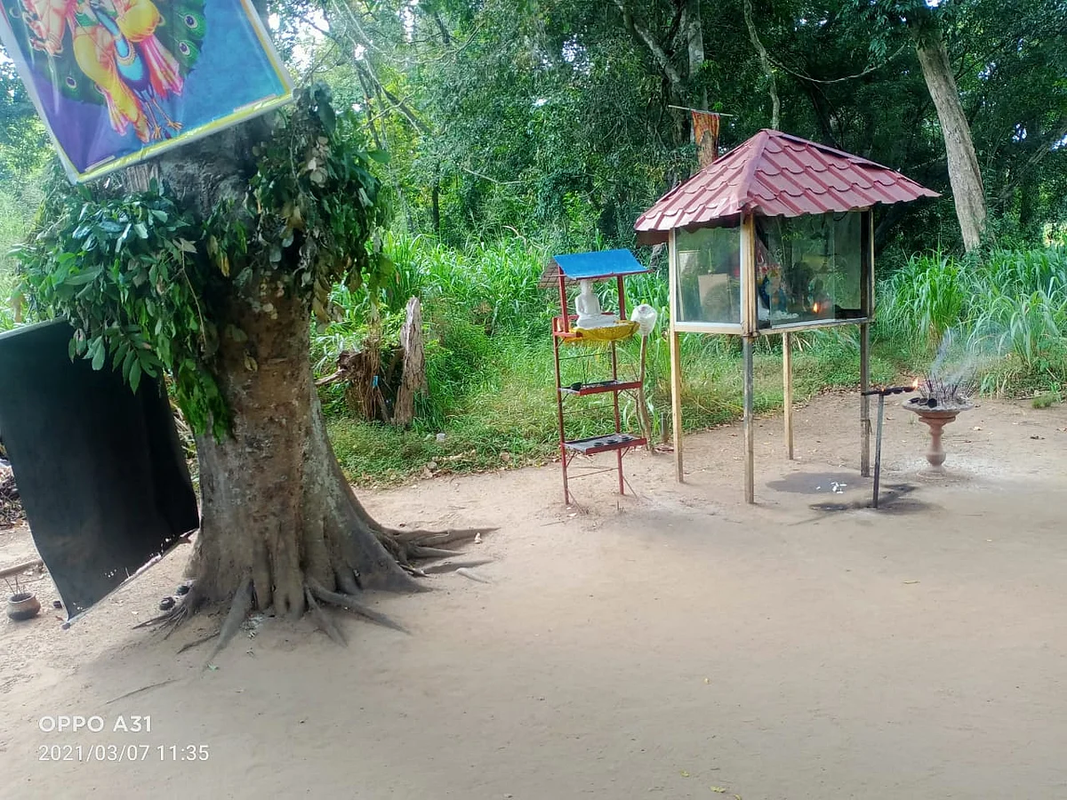 சியம்பலாவா தேவலாயா தரிசனம்