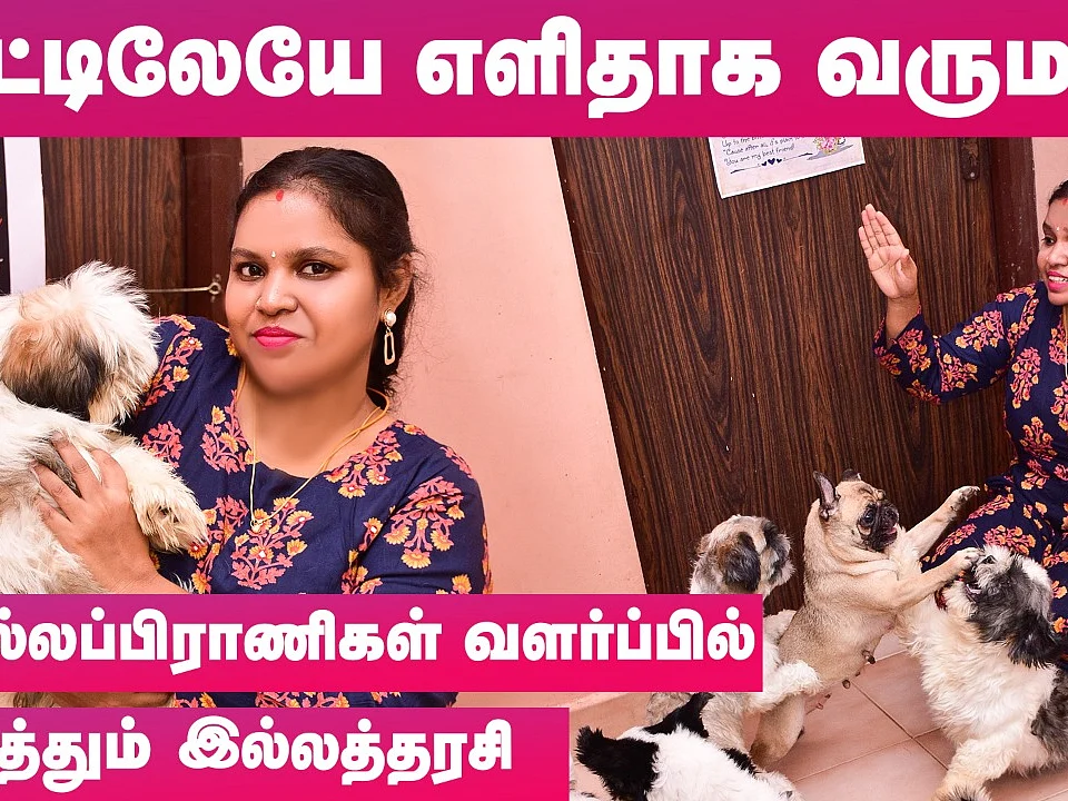 செல்லப்பிராணிகள் வளர்ப்பில் ஆயிரக்கணக்கில் வருமானம்! - அசத்தும் ஹேமா