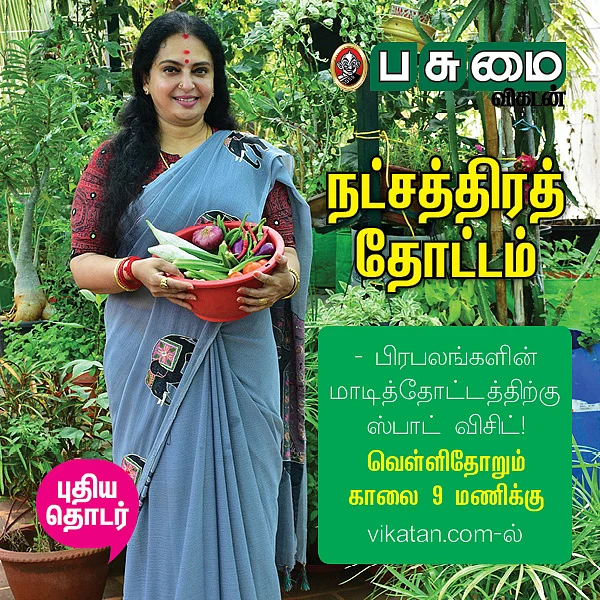 நட்சத்திரத் தோட்டம்