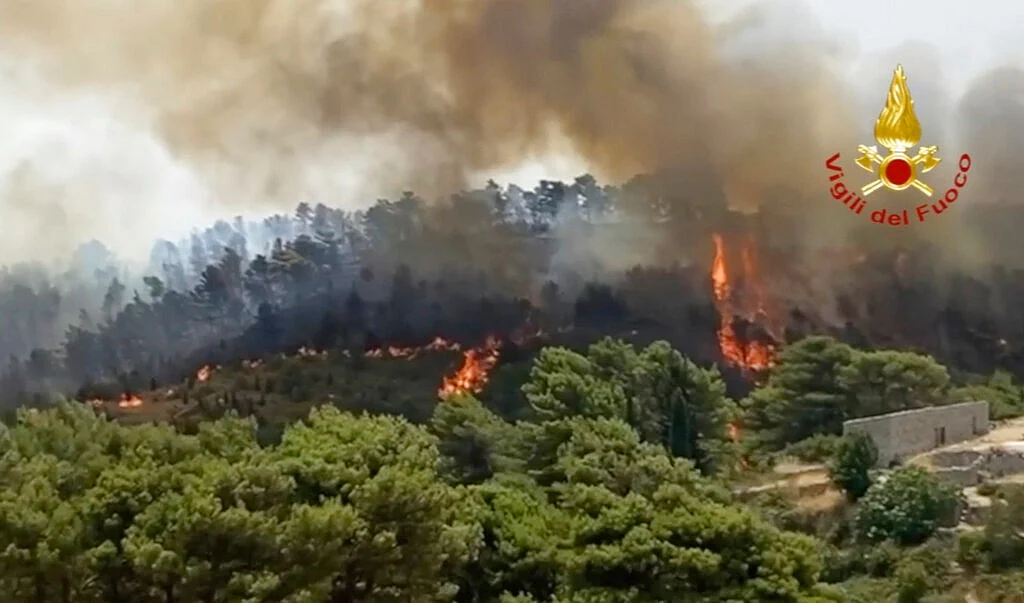 Forest fire