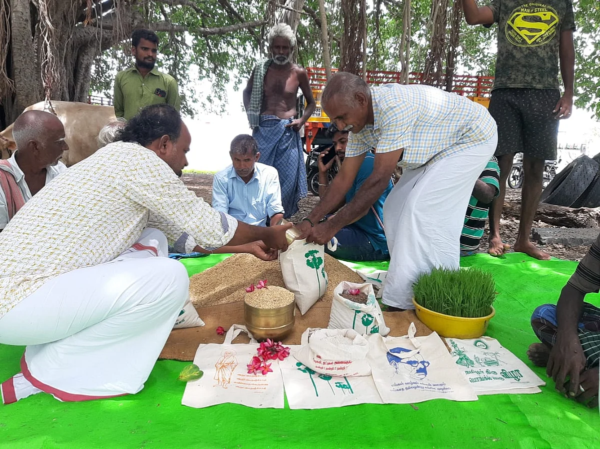 சிறப்பு வாய்ந்த கள்ளிமடையான் நெல் ரகம்; பாதுகாக்கக் களமிறங்கிய ஓய்வு பெற்ற ஆசிரியர்!