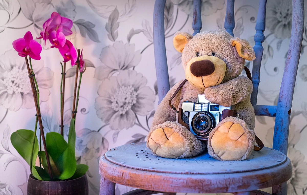 Teddy's Bear