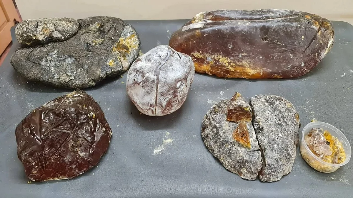 அம்பர்கிரிஸ்