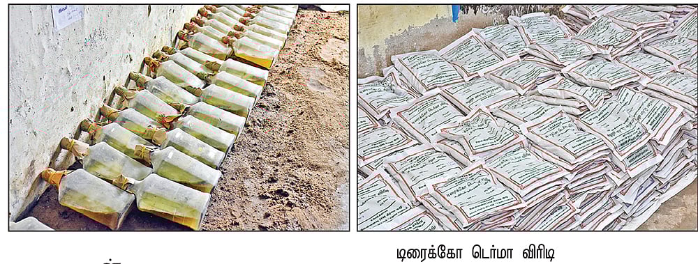 இயற்கை உரத் தயாரிப்பில் சாதிக்கும் பெண்கள்!