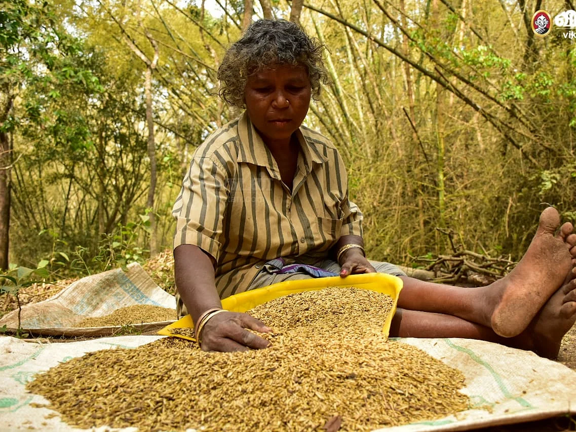 வேளாண் பட்ஜெட்: `பழங்குடிகளும் இனி பயன்பெறுவர்!' - சிறுதானிய பதப்படுத்தும் மையத்திற்கு வரவேற்பு