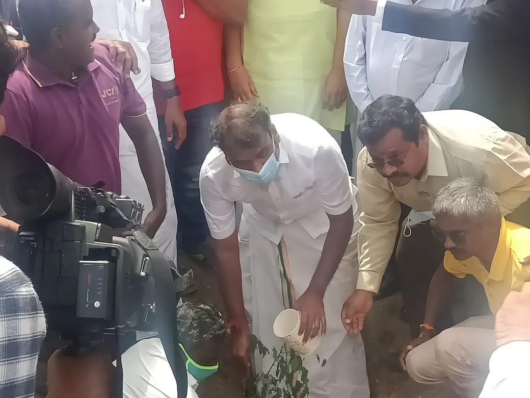 மரக்கன்று நடும் எல்.முருகன்
