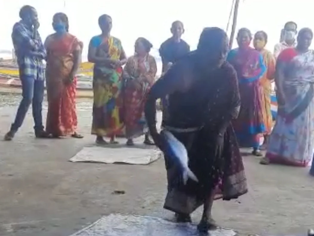 புலாசா மீன்