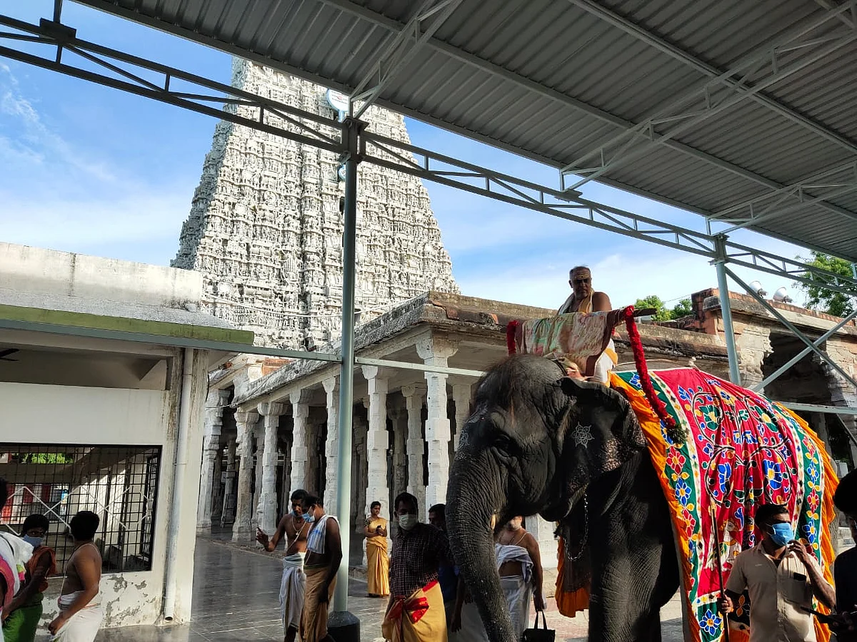 கொடிப்பட்ட ஊர்வலம்