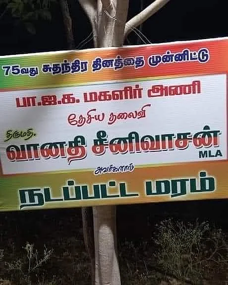 வைரல் போர்டு
