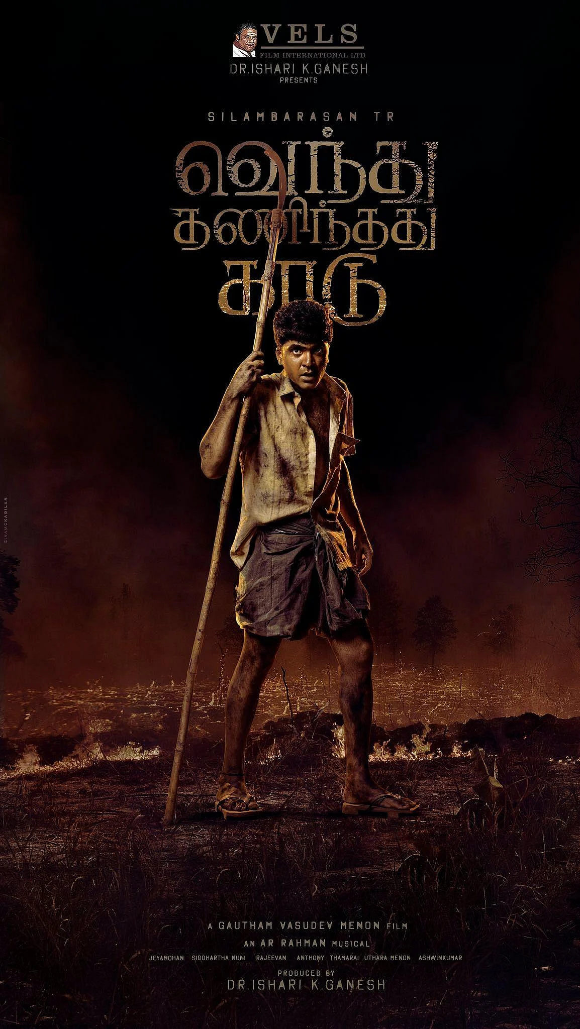 வெந்து தணிந்தது காடு
