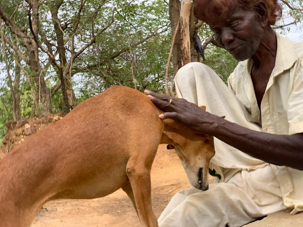 தங்கசாமி
