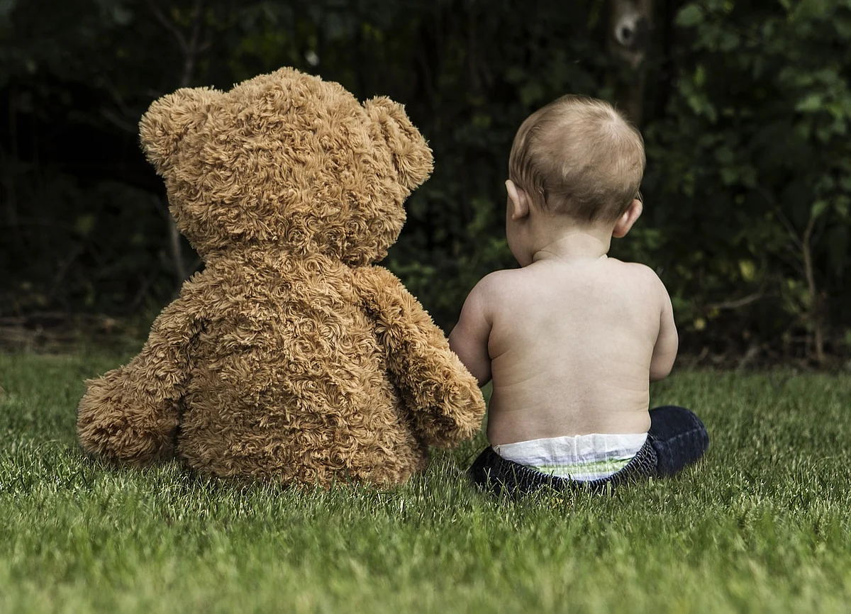 Teddy's Bear
