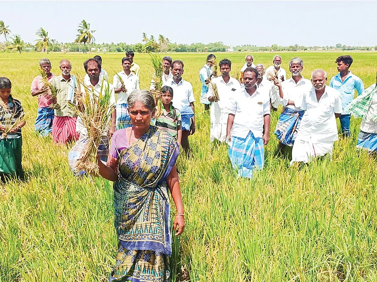 கலங்கிய விவசாயிகள்...
களத்தில் இறங்கிய பசுமை விகடன்!