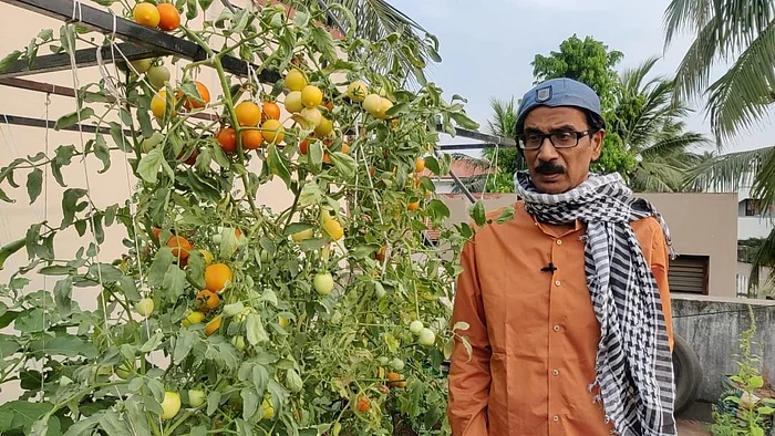 manobala's terrace garden