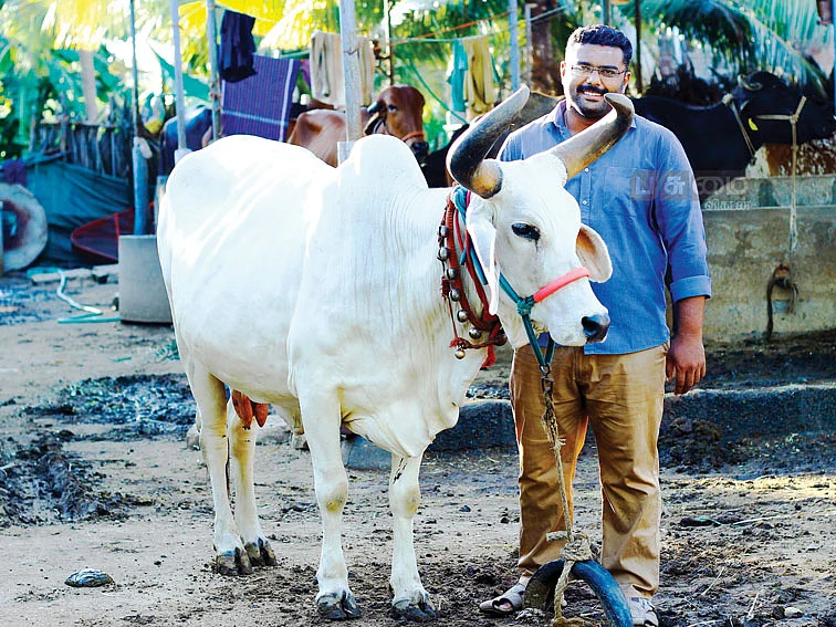 70 மாடுகள், 20 ஆடுகள், 30 கோழிகள்! - மாதம் ரூ.76,000