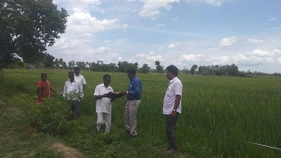 வயல் ஆய்வு