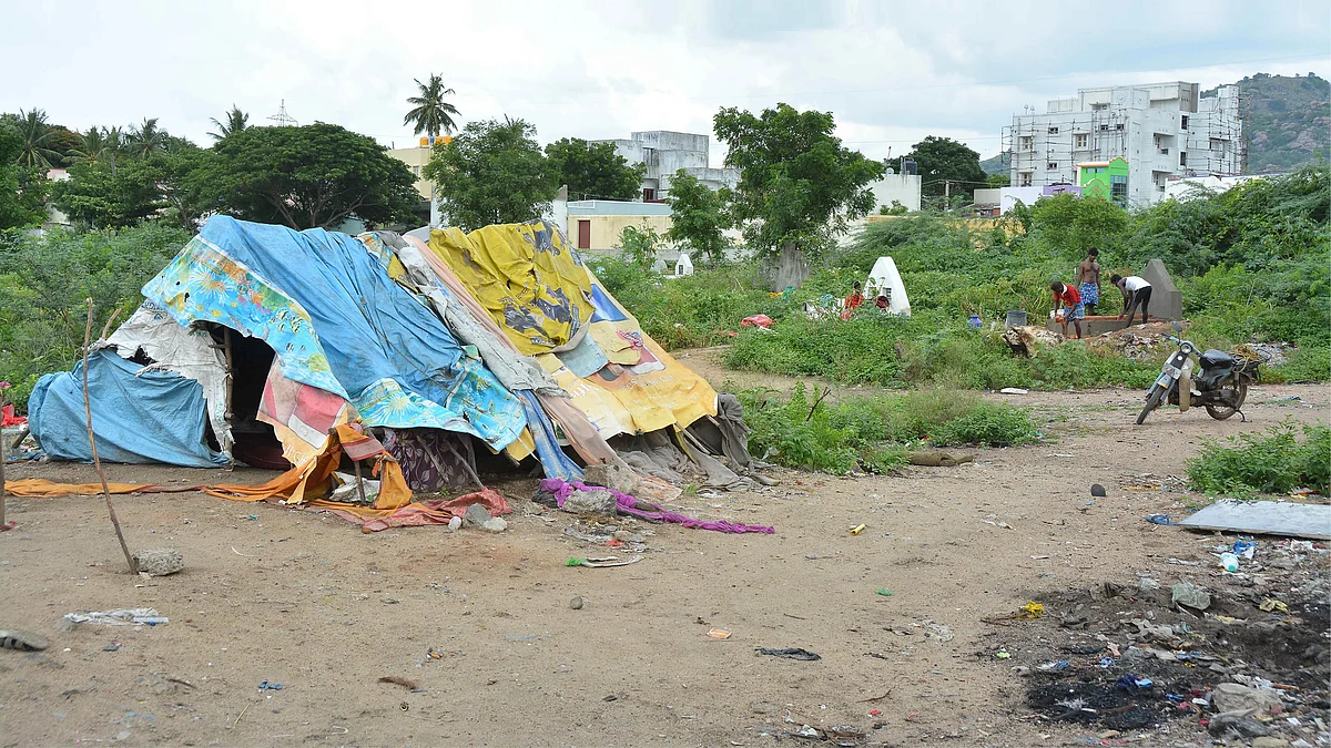 நாடோடிகளின் பெருந்துயரம்...