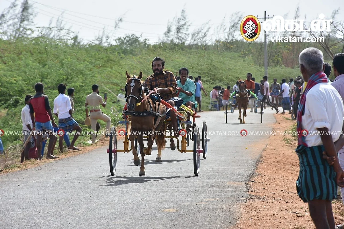 குதிரை வண்டிப் பந்தயம்