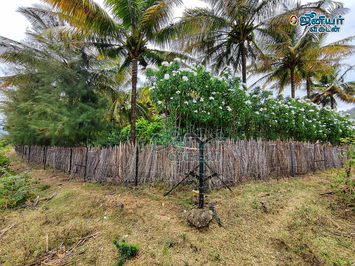 கேரளா பண்ணை வீடு மின்வேலி தடுப்பு