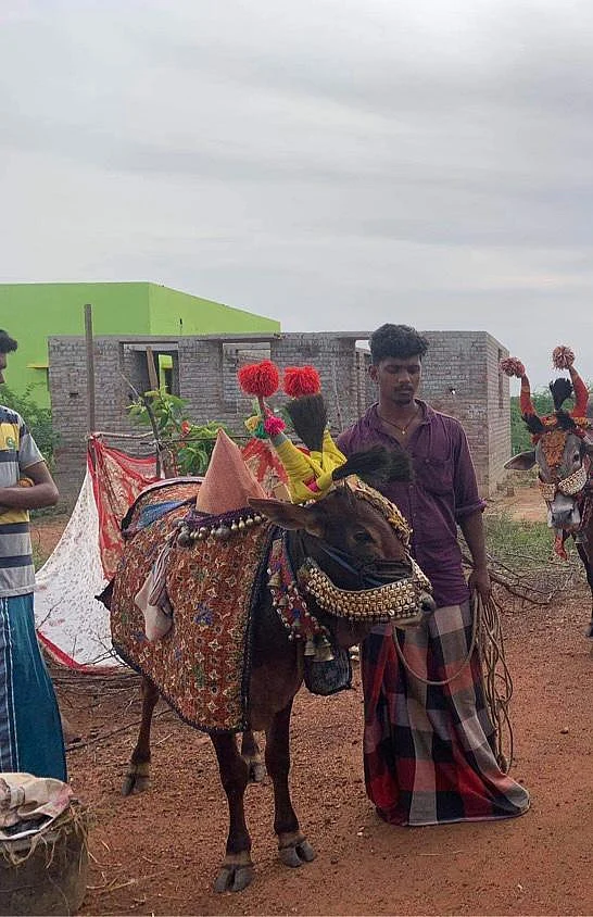 பூம் பூம் மாட்டுக்காரர்கள்