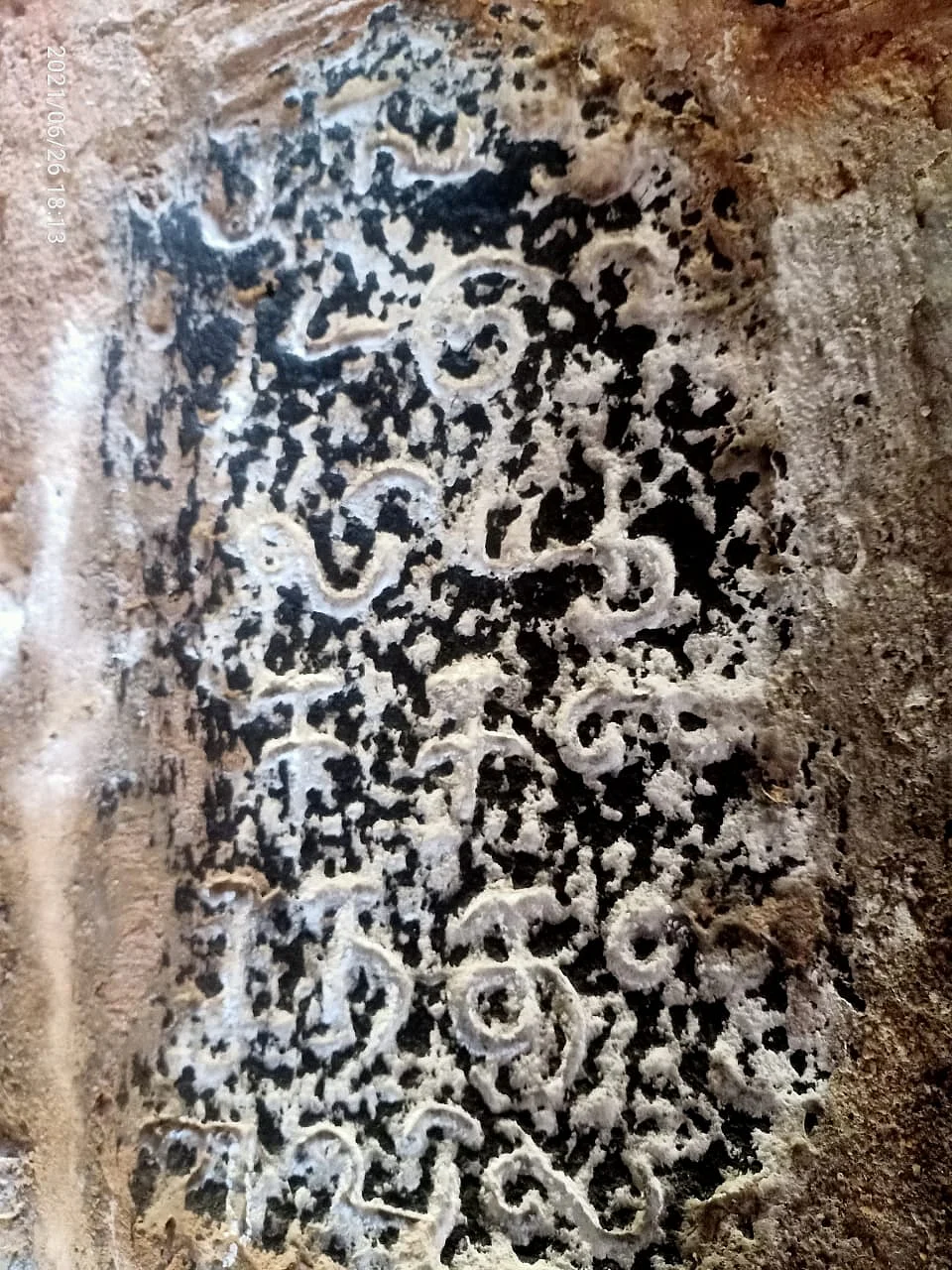13ஆம் நூற்றாண்டுக் கல்வெட்டு