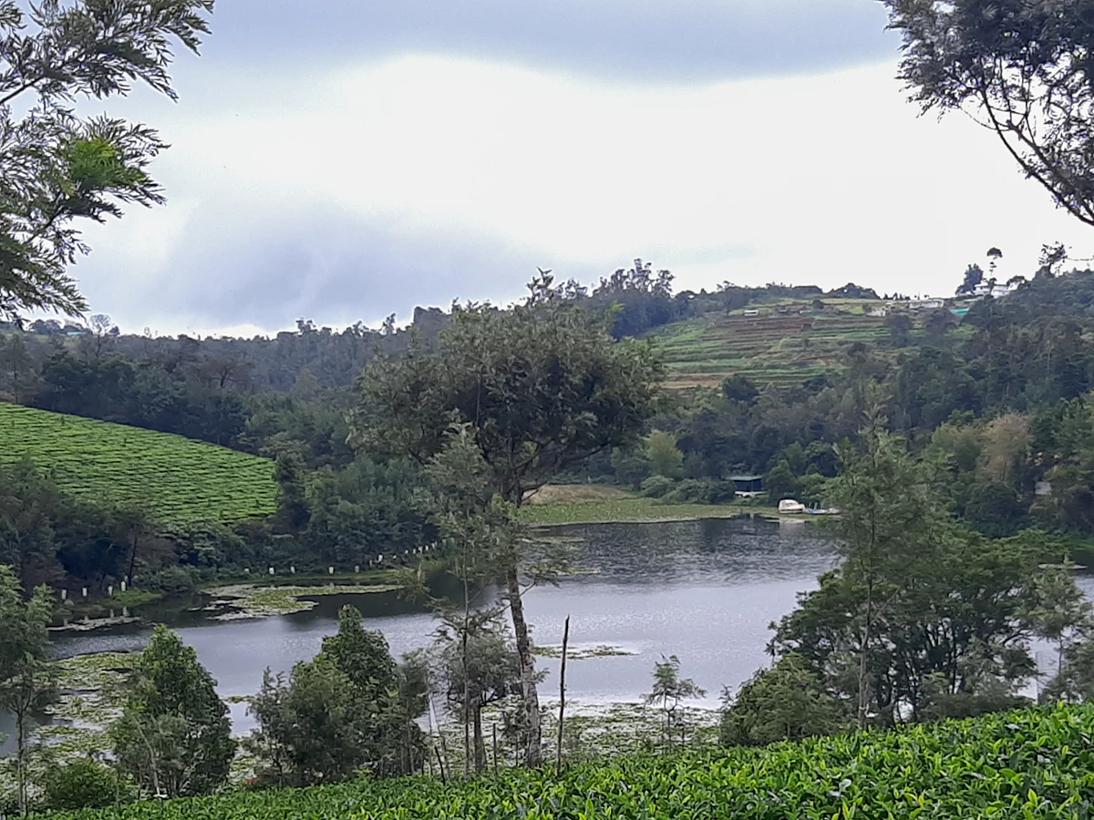 கொடநாடு