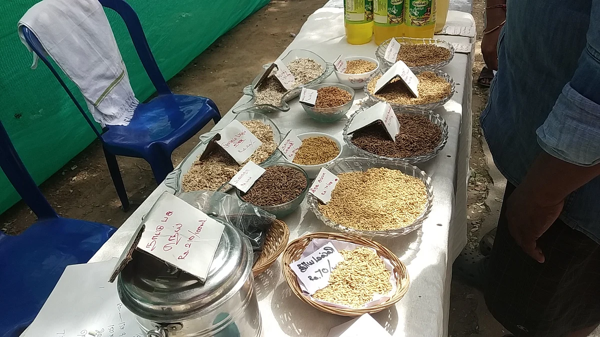 பாரம்பர்ய விதைகள்