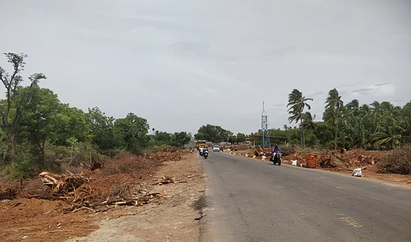 சாலையின் இருபுறமும் வெட்டப்பட்ட மரங்கள்