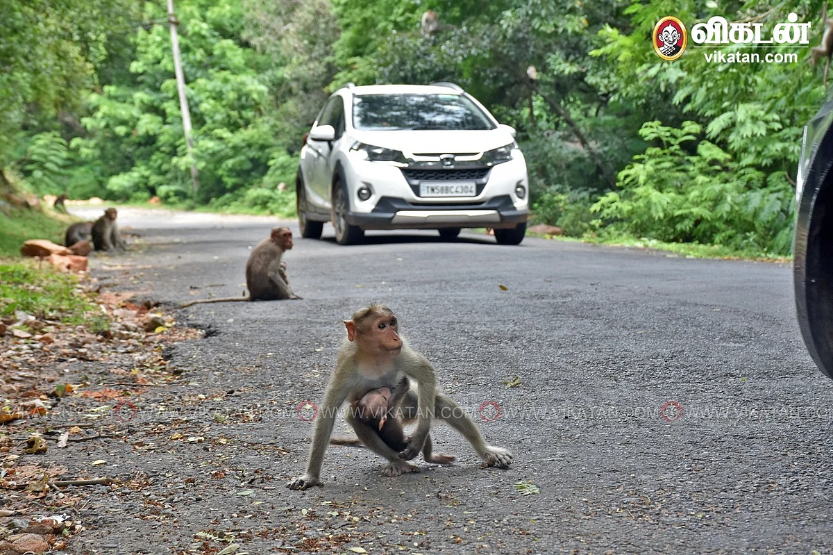 மலைமேல் செல்லும் சாலை