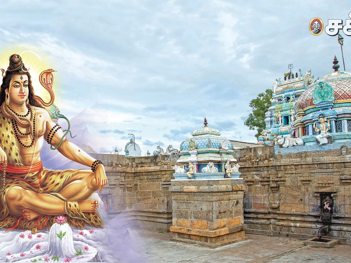 பூனைகள் வடிவில் சித்தர்கள்-திருப்பட்டூர் காசிவிஸ்வநாதர் தரிசனம்!