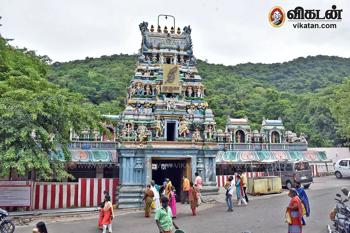 பழமுதிர்சோலை