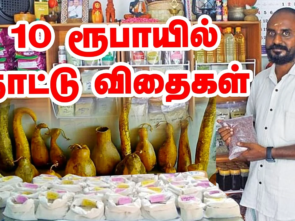 ஆர்டர் செய்தால் விதைகள் வீடு தேடி வரும்! | Terrace Garden
