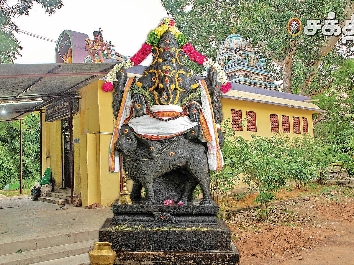 வீடு - மனை யோகம் அருளும் மஞ்சள் மாலை வழிபாடு!