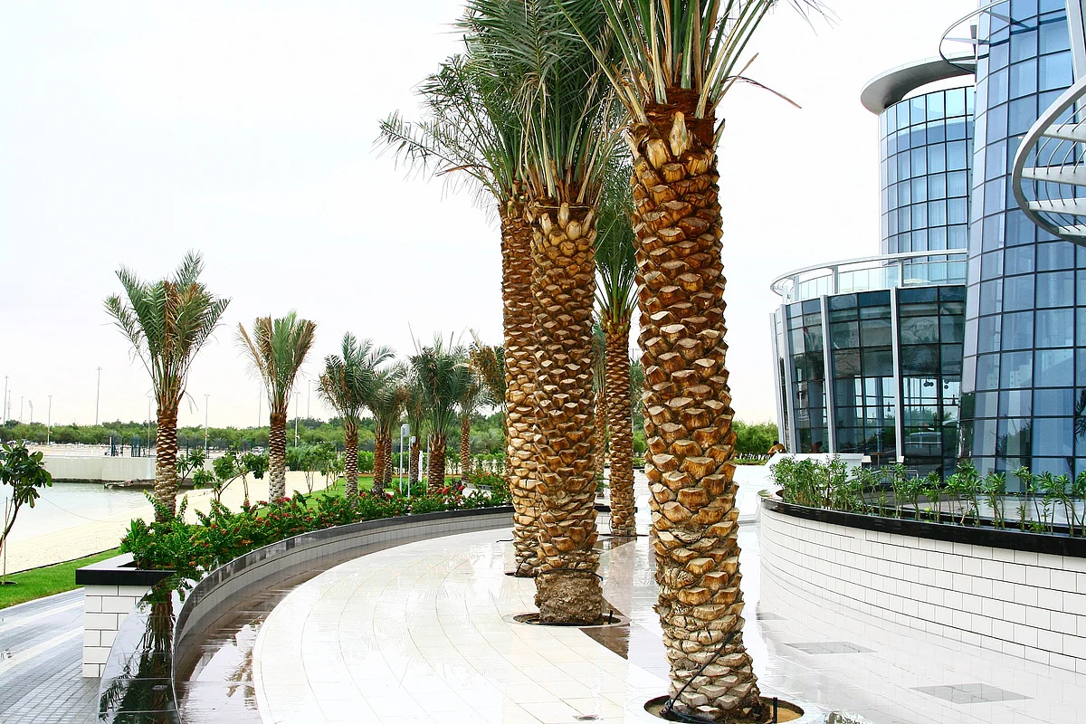 Abu Dhabi