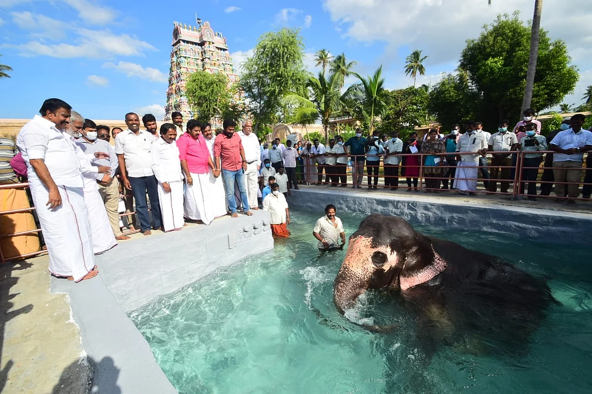 ஆய்வு