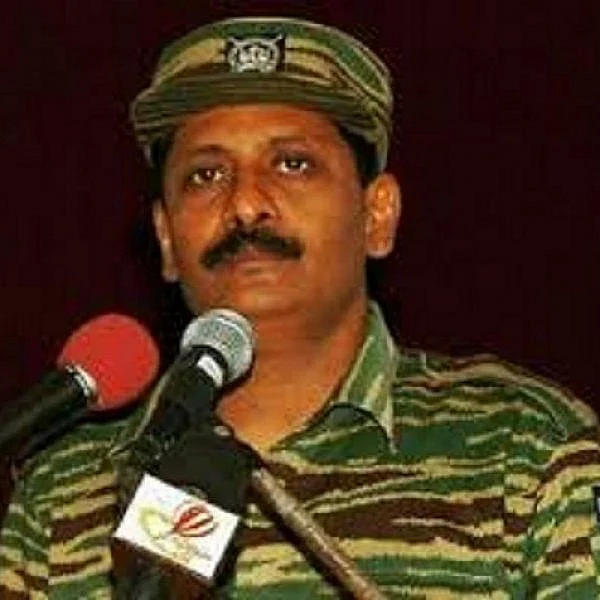 பொட்டம்மான்