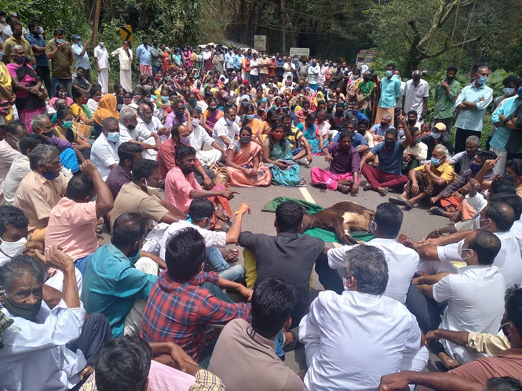 நீலகிரி: 2 மாதங்களில் 11 மாடுகள்; புலி தாக்கிக் கொல்லப்பட்ட மாட்டுடன் வனத்துறை அலுவலகம் முற்றுகை!