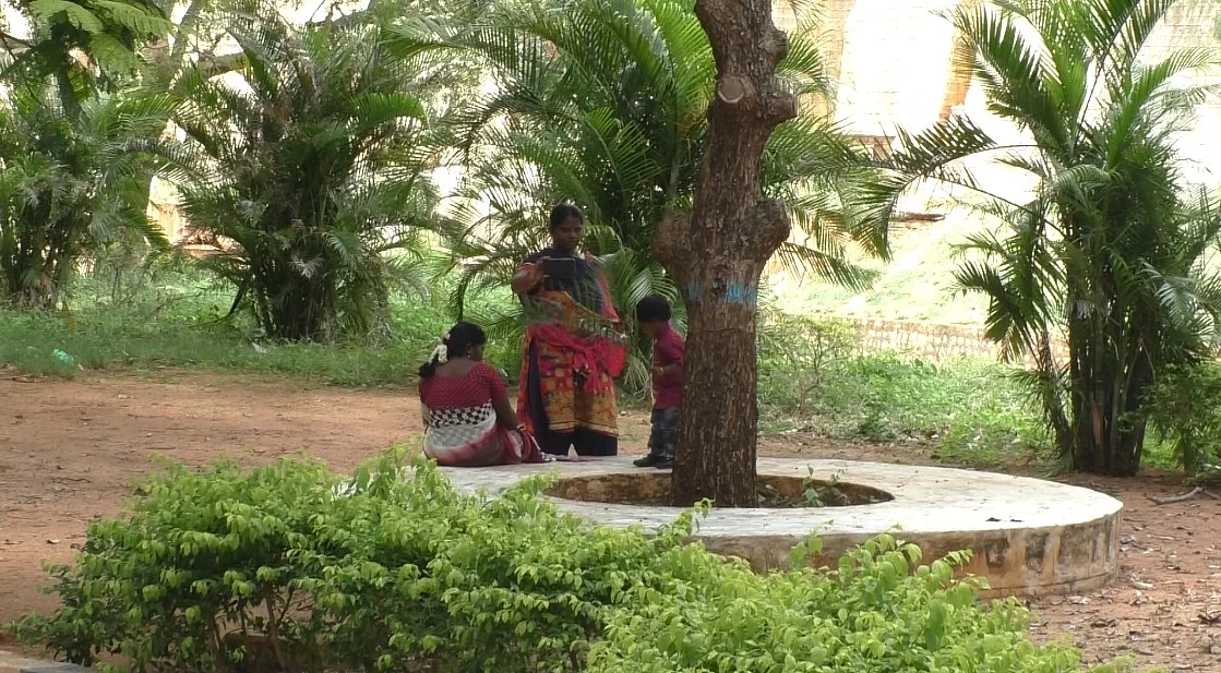 பூங்கா