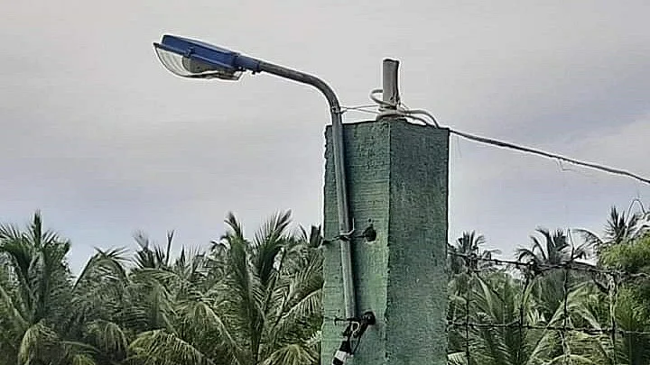 மின் விளக்கு