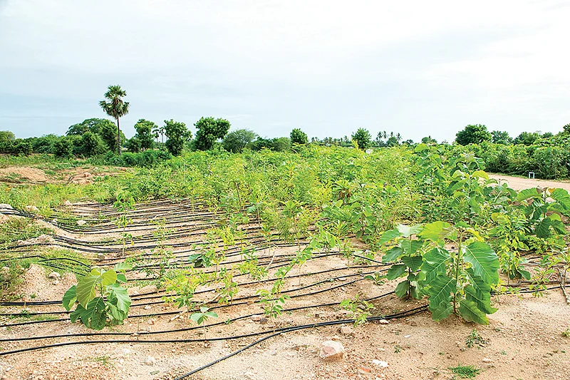 சொட்டுநீர்ப் பாசன முறை