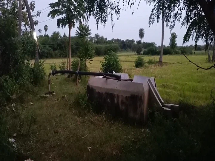 மேல்கதிர்பூர்