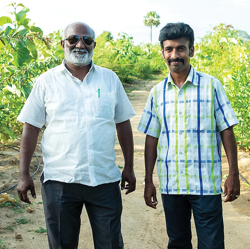வின்சென்ட், ரொசரியோ பிரேம்