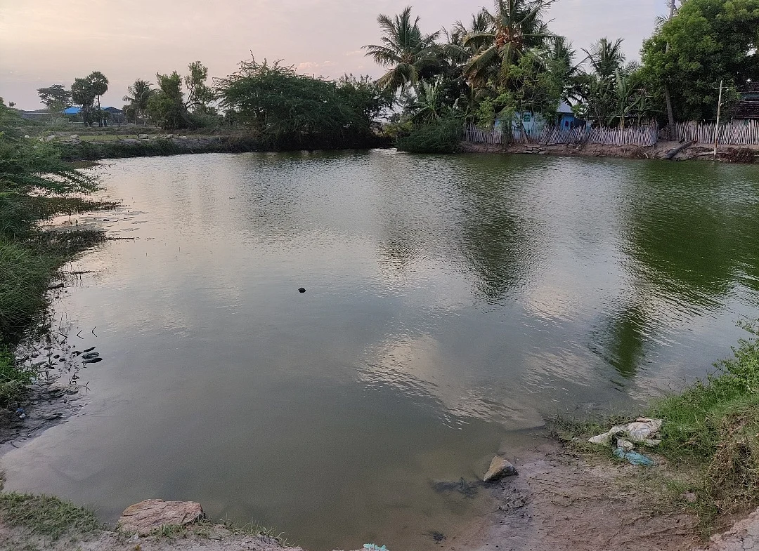 ஊர்க் குளம்