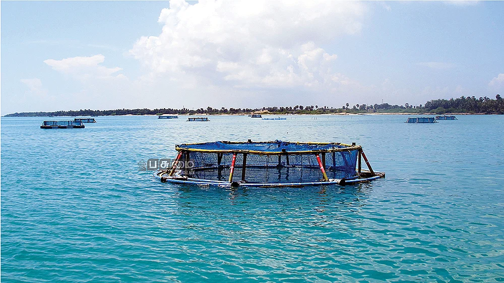 மிதவைக் கூண்டு