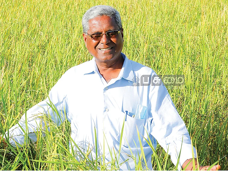 25 ஏக்கர்...
ஆண்டுக்கு, ரூ.17 லட்சம் லாபம்!
முன்னாள் உரக்கடைக்காரரின் இயற்கை விவசாயம்!