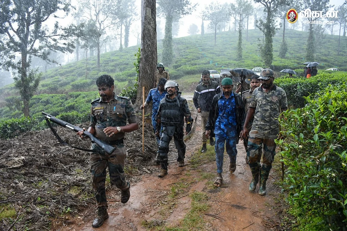 புலியை பிடிக்க களமிறங்கிய வனத்துறை