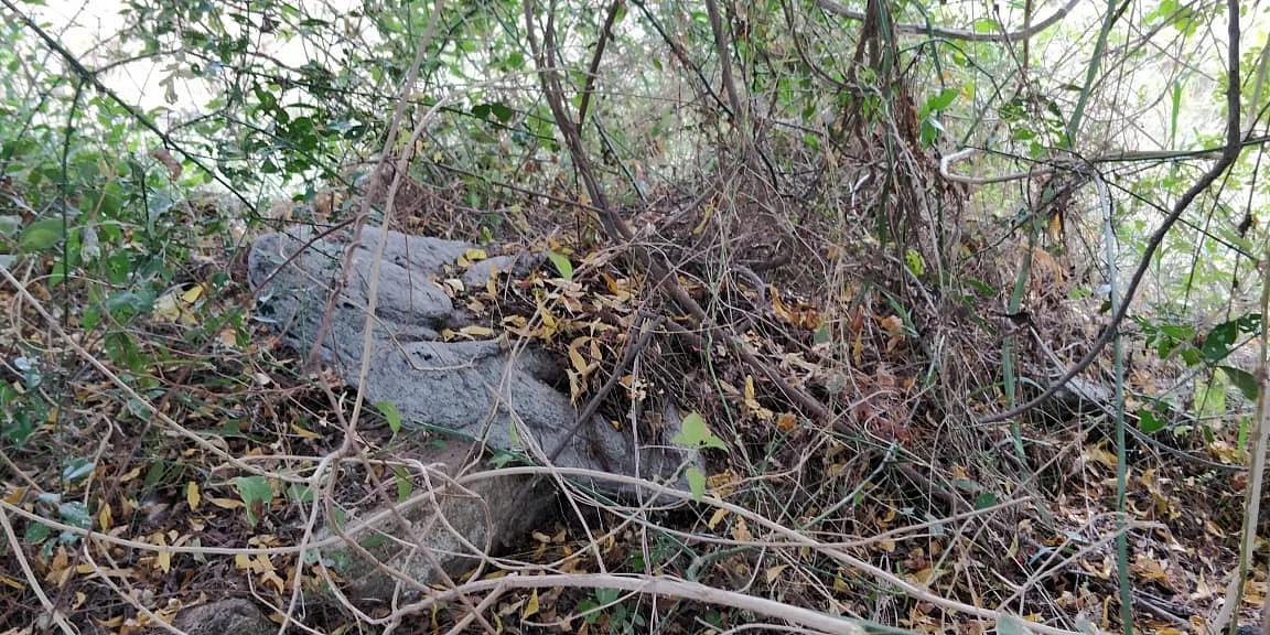 முட்புதர்களுக்கு இடையே கிடந்த சிற்பங்கள்