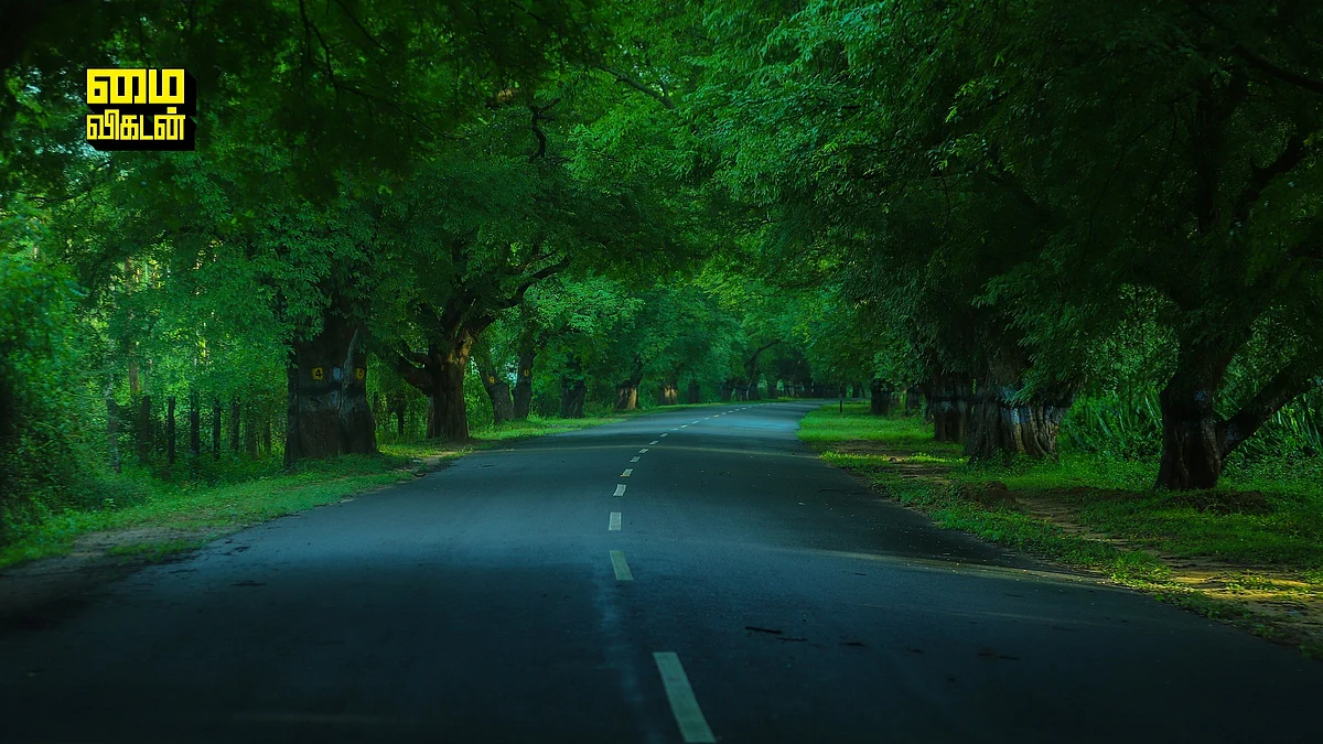 Mettupalayam
