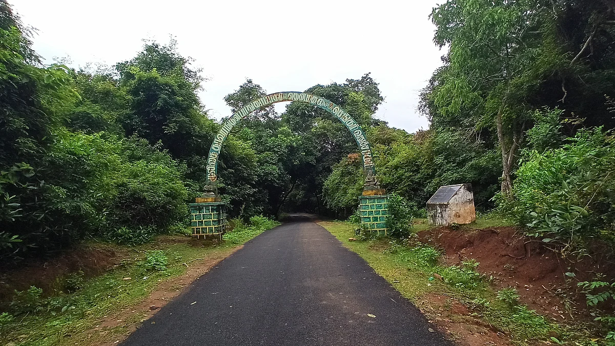 வனத்தின் நுழைவு வாயில்